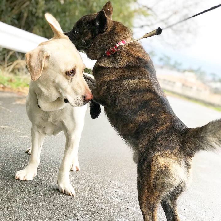 7b17c848 d357 4077 bab9 1a54a80d8b19 1552351865828