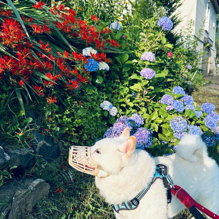 7b17e0b5 6cac 4f4b b928 7926b067d5e8 1753823843727