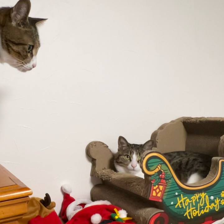 7b183b0a d065 48ea 806a 26797a1a5868 1765274152084