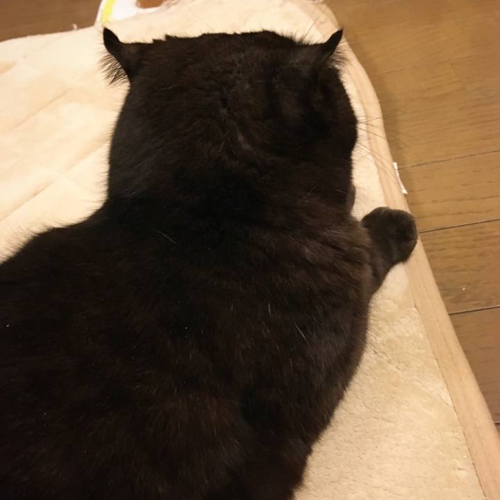 7b183b29 f2f3 4e85 b2e4 b4ef32569648 1517839787080