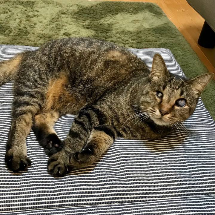 7b186a34 2200 4d8e b86a ab92724c49c4 1622680108421