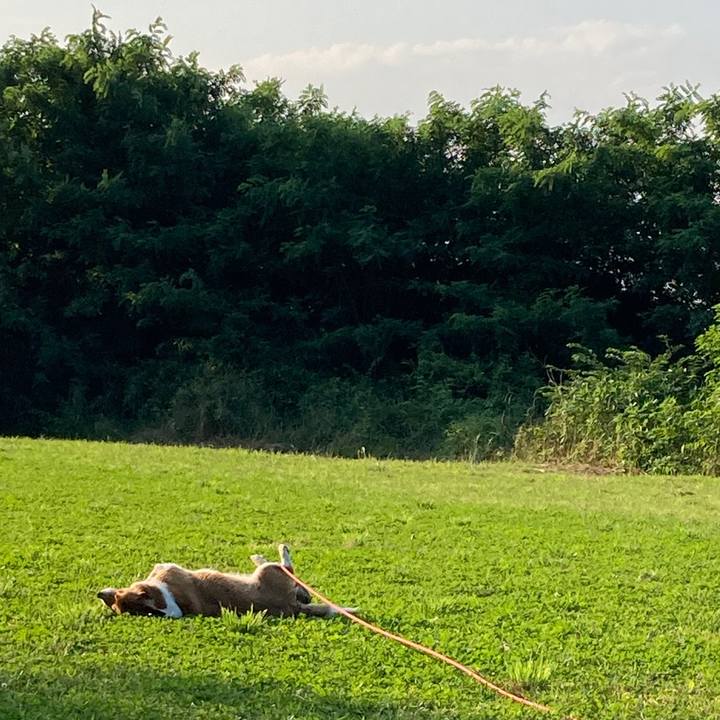 7b18bfa2 cf73 4ce4 883b 101641c74fe1 1750215965784