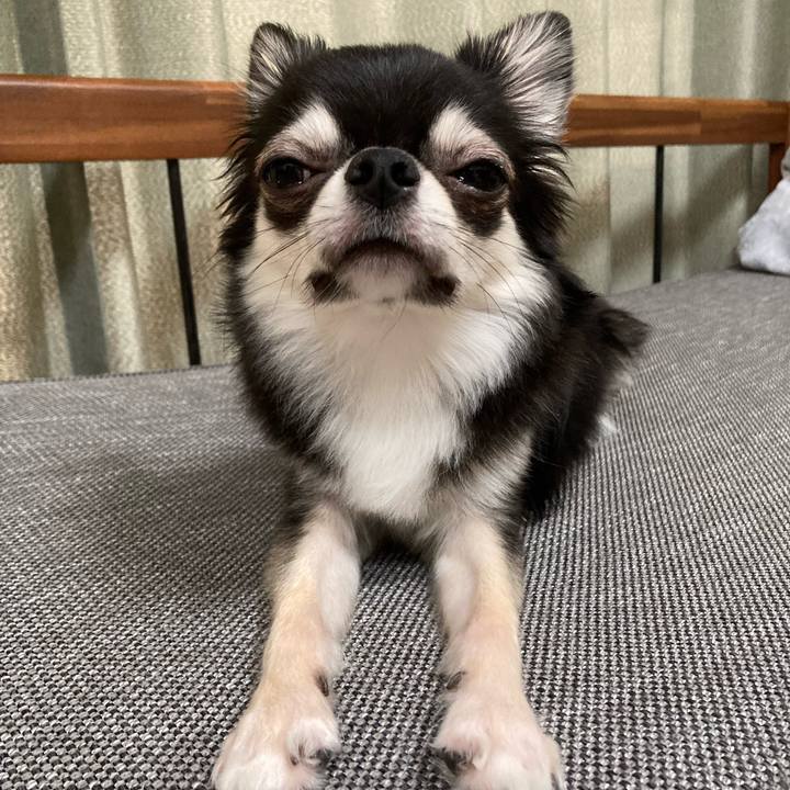 7b18dc1d 3a28 4f11 a78a 67ba0859ec58 1627817712691