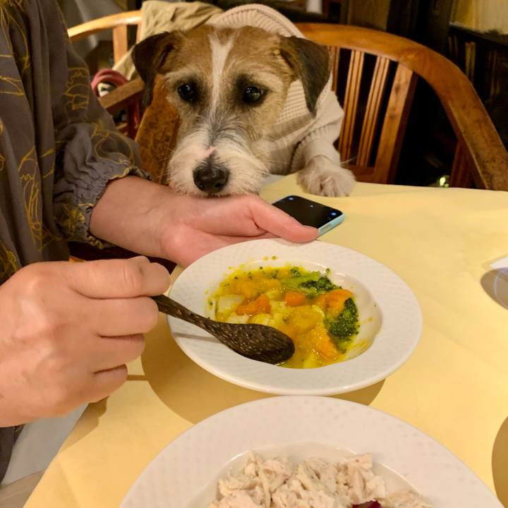 7b18e684 e5bc 45b9 984c 3996e61c1997 1604204828984