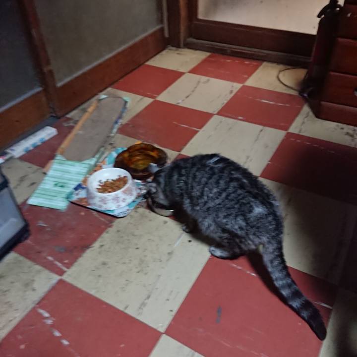 7b1904fc 81b3 410c be24 cfaa0c4e0f36 1580720502595