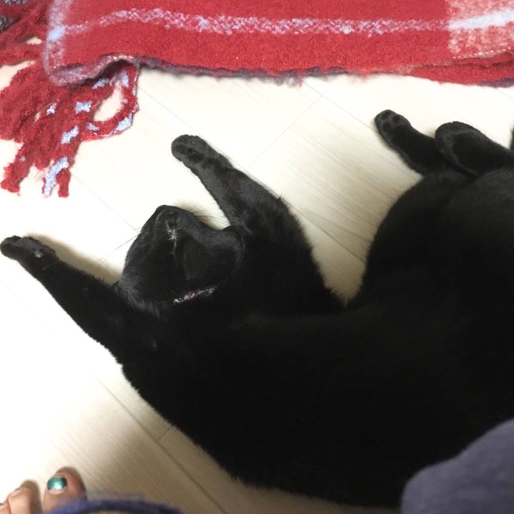 7b193c09 9375 4b41 8bcf 780dc23f6334 1519994220272