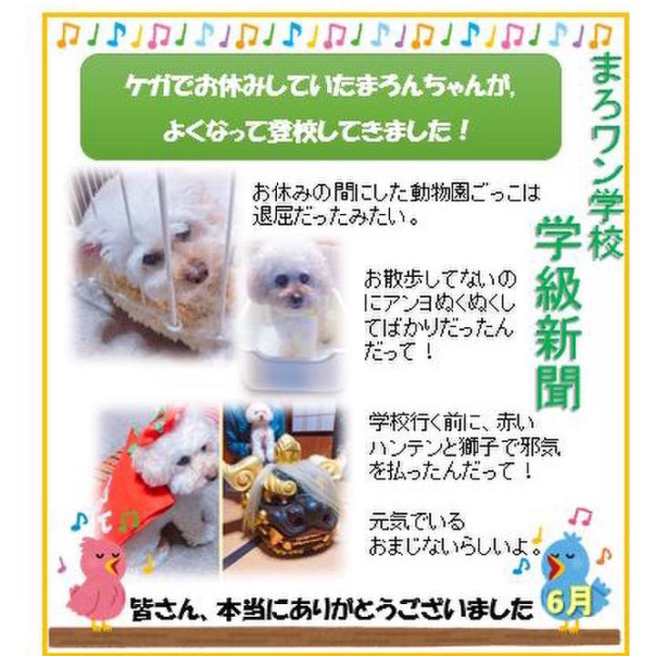 7b19403d 2633 4119 8894 6d837589c63b 1528964762561