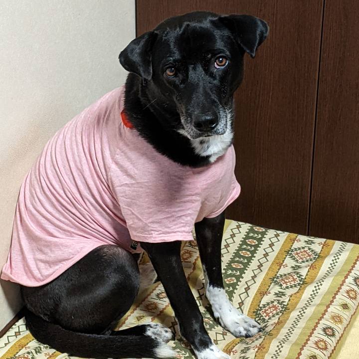 7b194ecf 6520 4bed a784 865600ad0bda 1670029629112