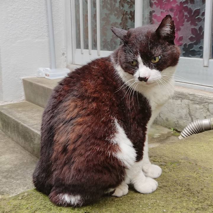 7b1955de c194 465f 82a1 b34919a24780 1687476297408