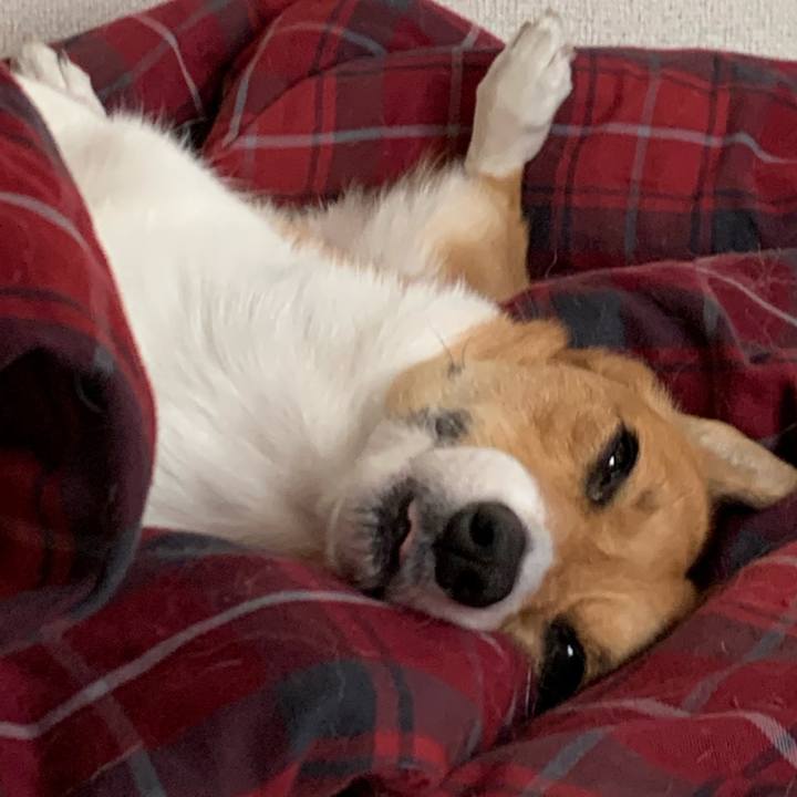 7b197a52 7f1e 42ef 8b1a b7092f1d329f 1576469932296