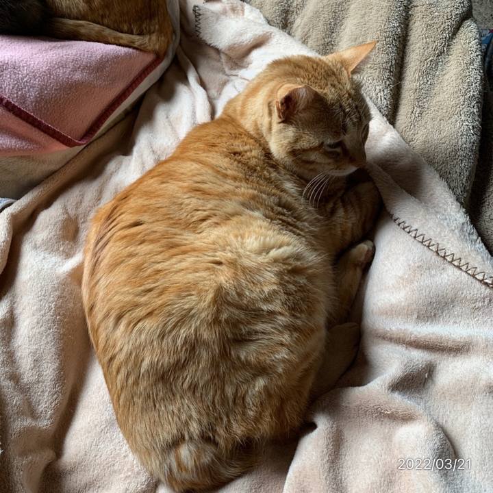 7b1990b0 9f71 4808 9df3 4578dec532ea 1647824374307