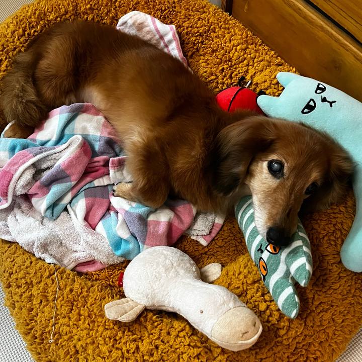 7b199928 4bd0 4223 8b8e 4aacb53b1cf2 1666699868908