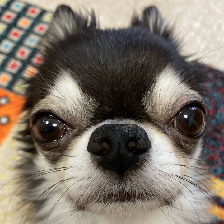 7b19d372 37aa 47d5 8101 5d8e86765dff 1694902433147