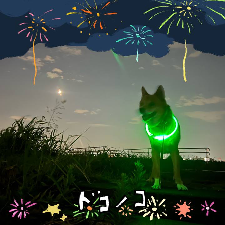 7b19e4f9 c9ec 4e1c ab25 d2e0dfad8efa 1723467465153