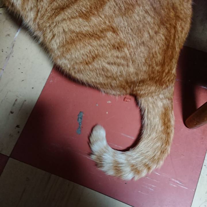 7b1a0bda 2891 4181 b700 aca9b1b46644 1576575106982