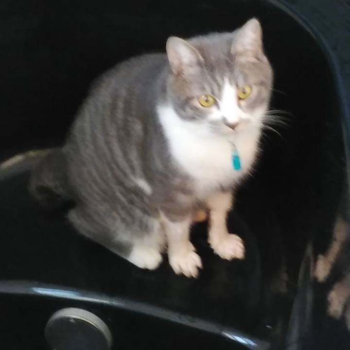 7b1a2382 e25a 44fa 8fb4 651d4bd1efd6 1580943835524