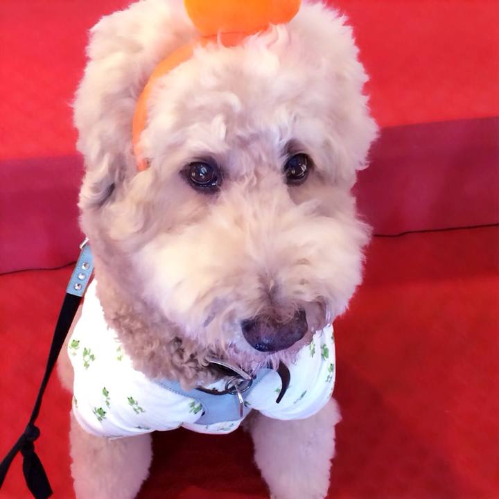 7b1a7523 2e51 4561 ae96 dbce782607fb 1538996365793