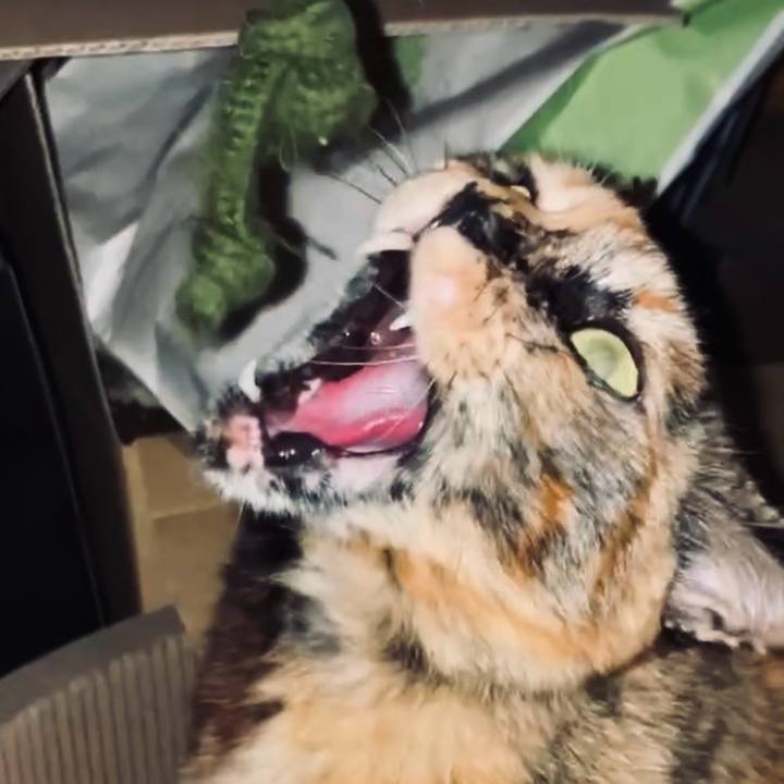 7b1a7dad dc83 4683 8f37 e8edd6a5fd20 1743099474162