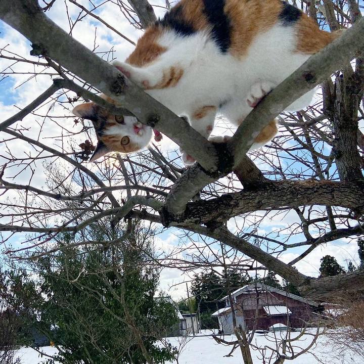 7b1ac9a3 7c56 4584 a2ba 57cf504c8410 1641101835061