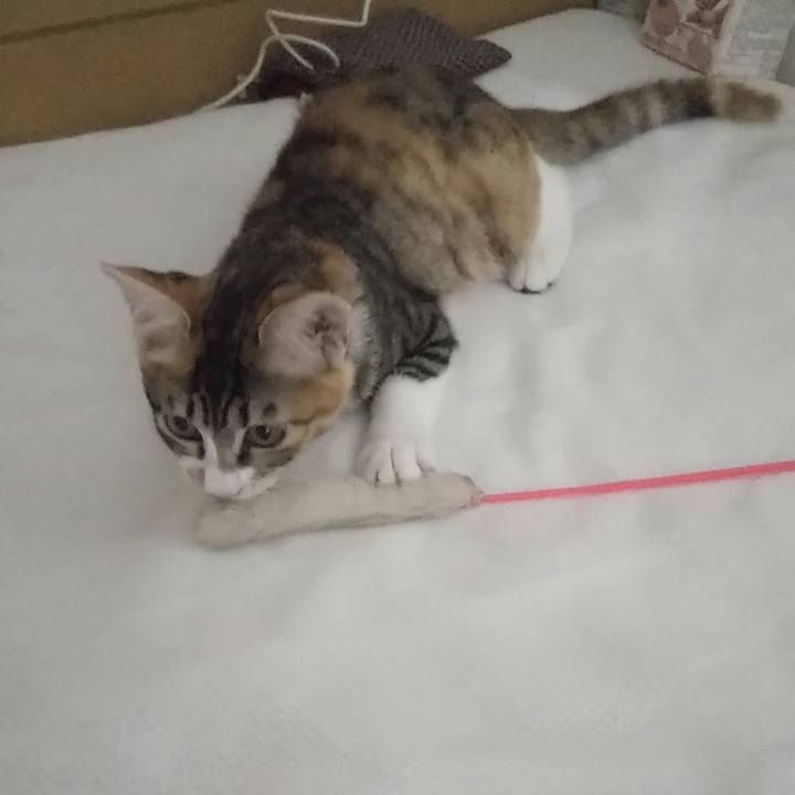 7b1ae9bb ec12 4107 9571 962a2c0c67bc 1630276024559