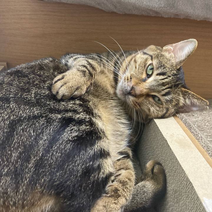 7b1b0660 d5a7 4b2d a257 f1b82efe93db 1650716689147