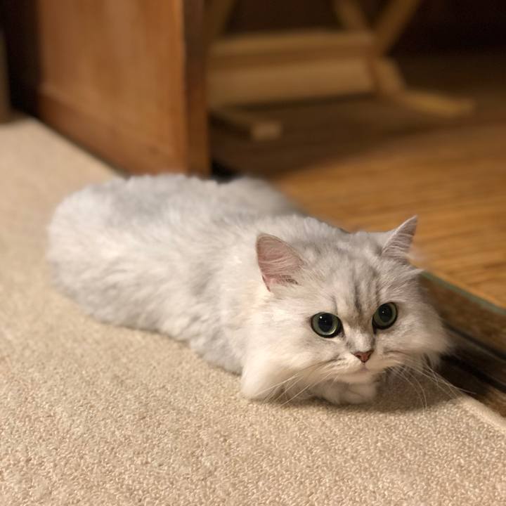 7b1b23a6 7d02 4de8 8f2a 65fc224ea2f5 1563535206630