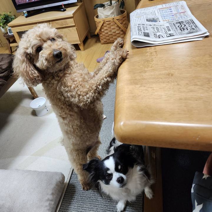 7b1b3035 307f 4331 898f 5fae0478a06a 1769988303076