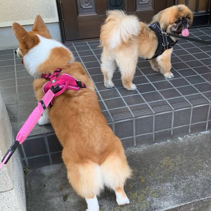 7b1b4e5b 0518 43f7 b0e1 0a9f054a1688 1630108845379