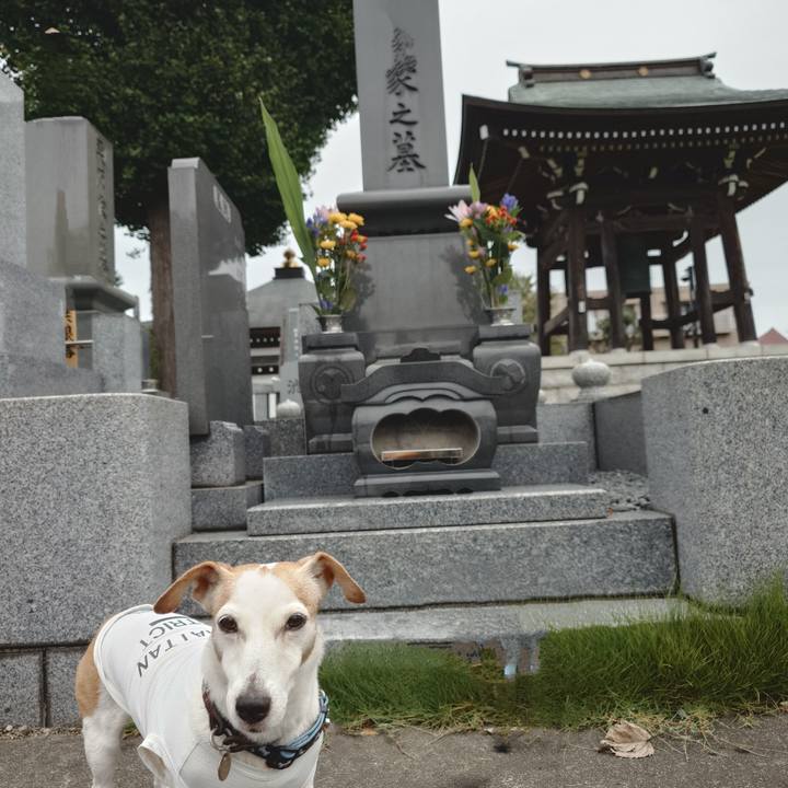 7b1b64d7 2ac9 45cc 8bb1 bf4736570e46 1758325264615