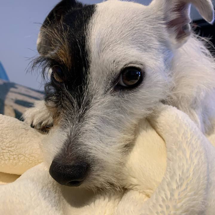 7b1b7db8 3e5a 4e4c b88b 749a9b4f2cf4 1603085890806