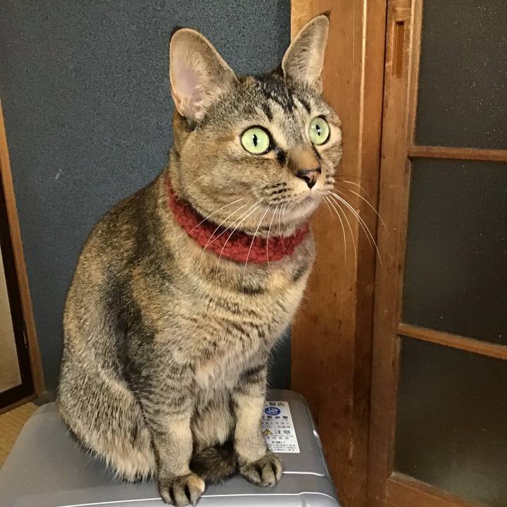 7b1b827b ebe7 49b8 8ace dd8526930004 1642115588850