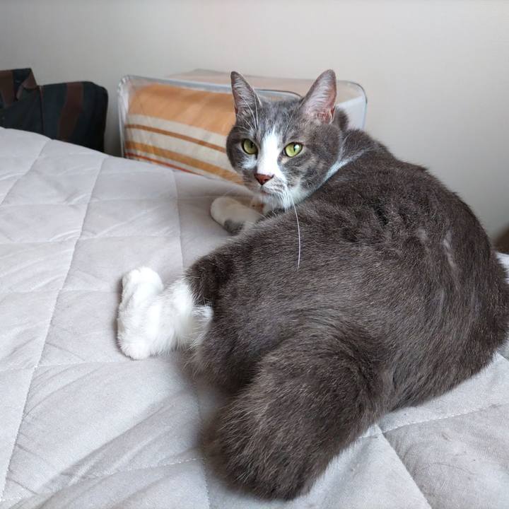 7b1b9c73 25fe 44fd 93ac f0a9948abf6c 1688293565552