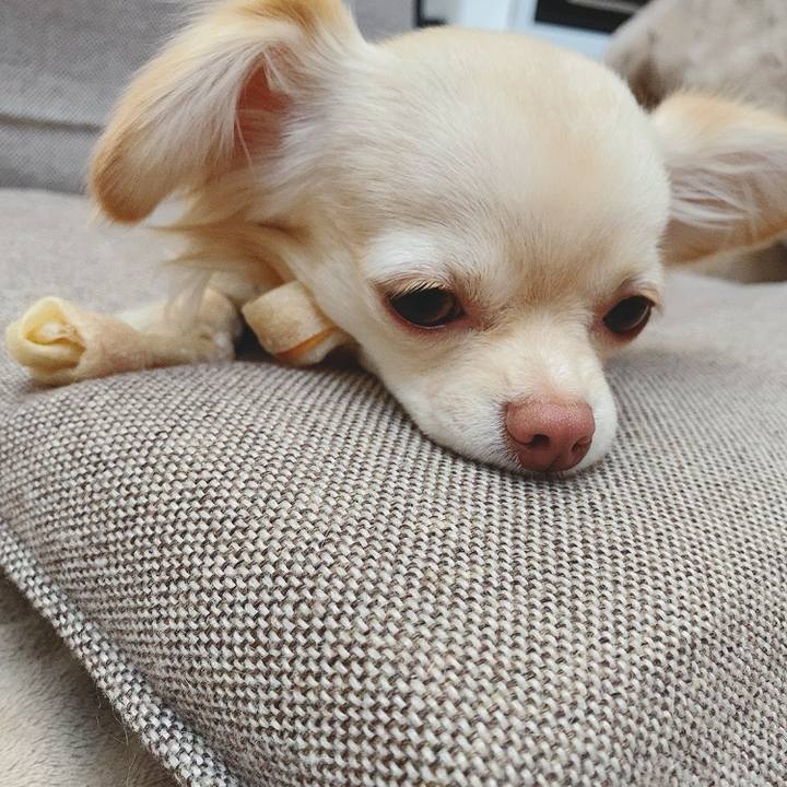 7b1bbd2a f9a7 4d01 834b f5deff6d2c2f 1617781821124