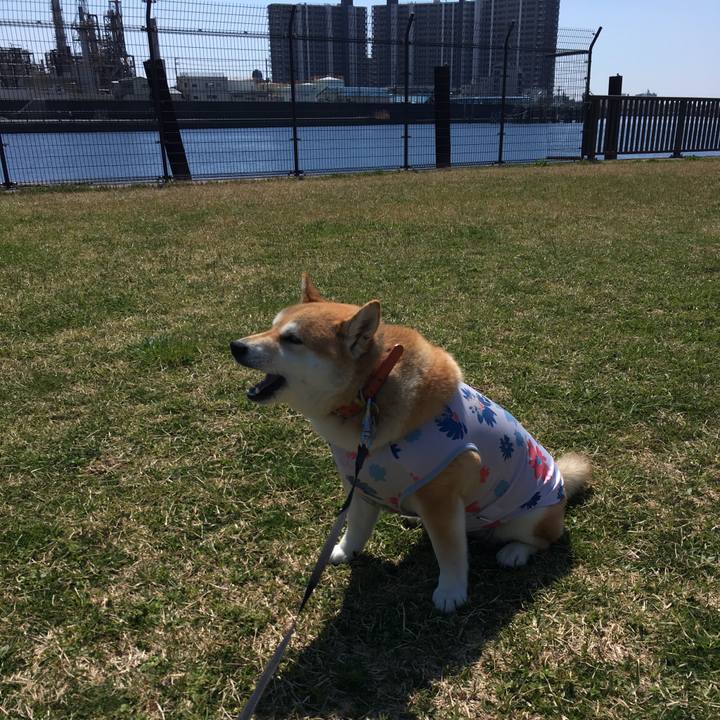 7b1be415 8c12 41cc b166 d9e62b57da86 1554177069120