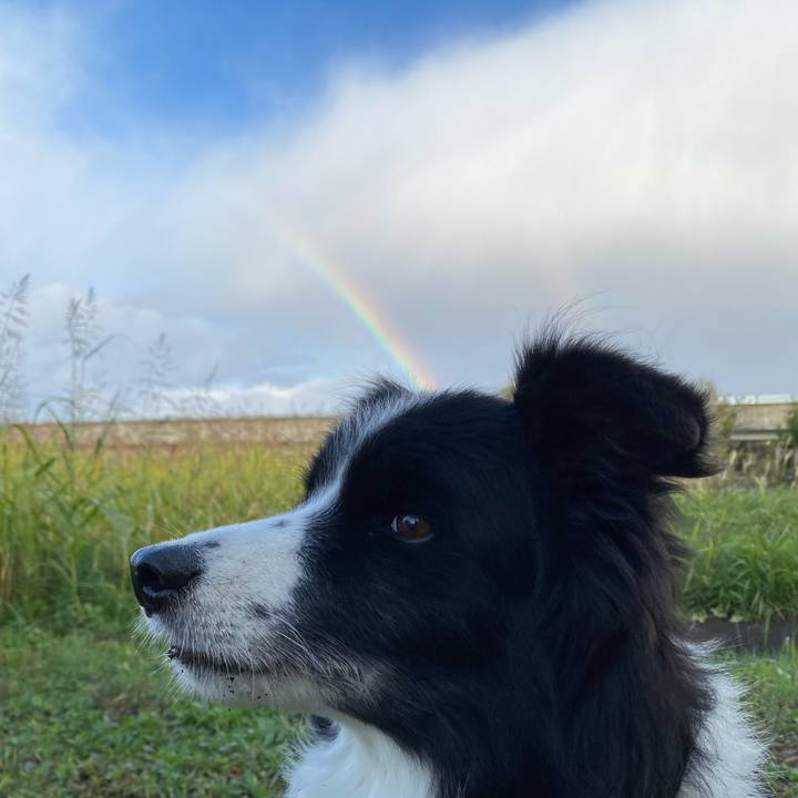 7b1be92d 552c 4caa 826a 605ad5da412a 1636673401745