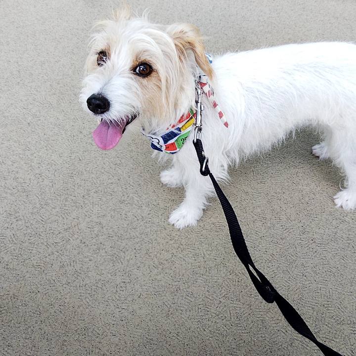 7b1c4c31 ec5c 4160 bef0 ab69abc4d4e8 1628504088309