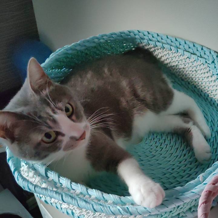 7b1c5100 0db0 4af1 8fbc bc50f725dcae 1659354484614