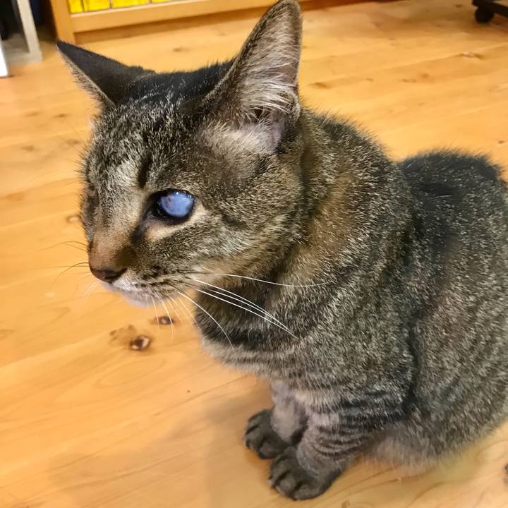 7b1ca800 6ec8 4a45 a811 6a3b0fe2e165 1625392874868