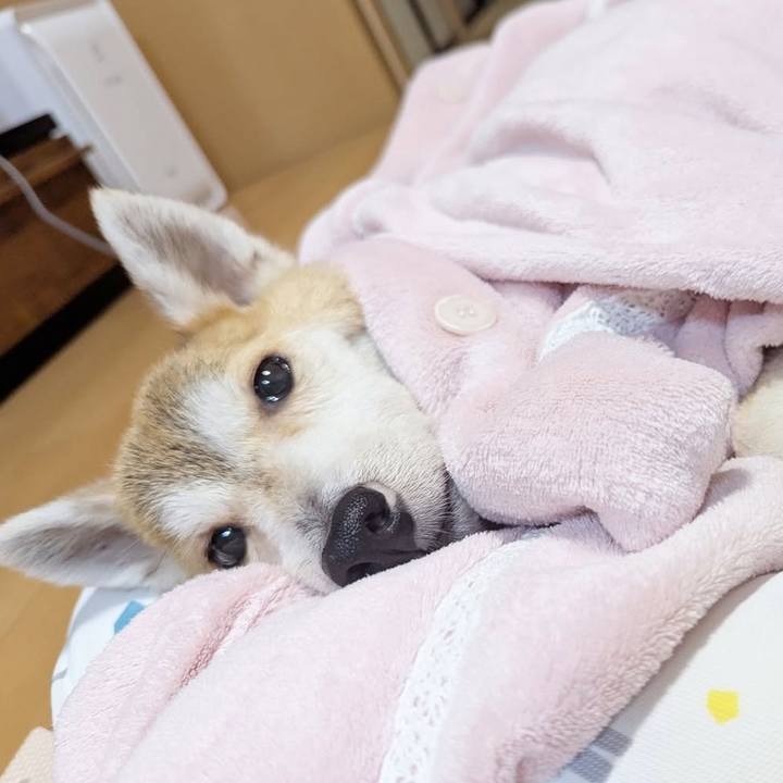 7b1cb5cd 694b 4511 aa5c 3d35bdf7a53c 1760523267556