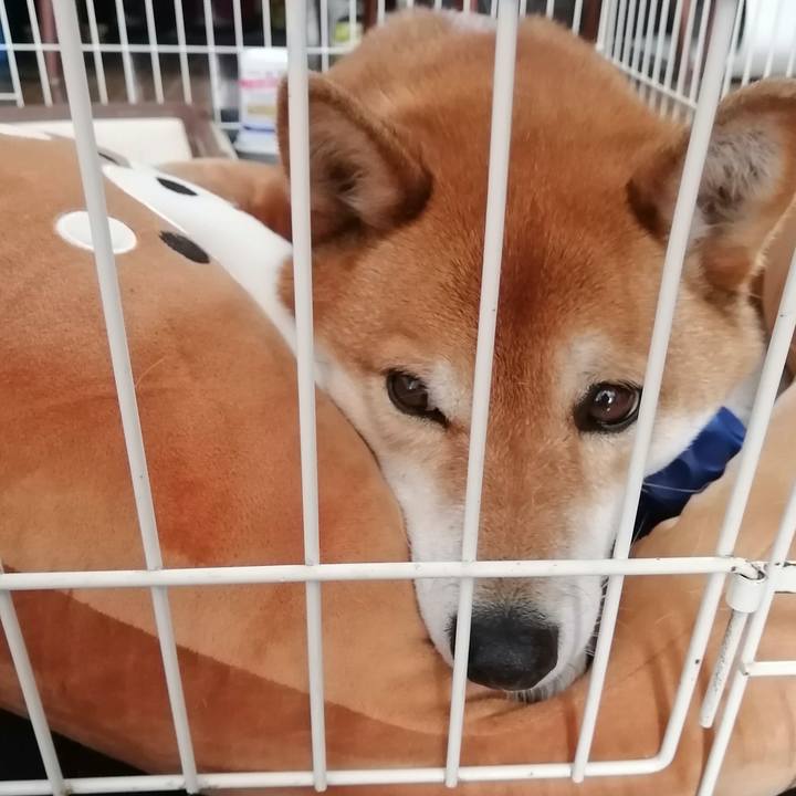 7b1cc740 ae7d 43d2 bf89 70658ee30de3 1615081999098