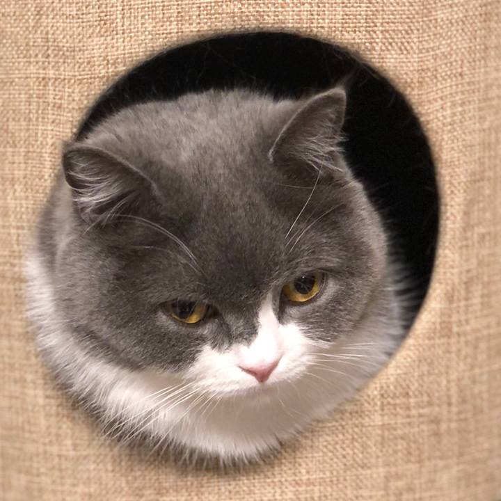 7b1cc7f3 c59c 499e a9b1 7716c15301d1 1588981978377