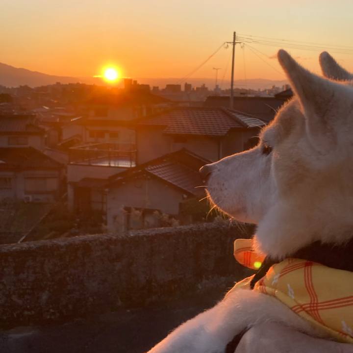 7b1d0e1b ff0e 46c3 bab2 012f3e787efe 1730647788778