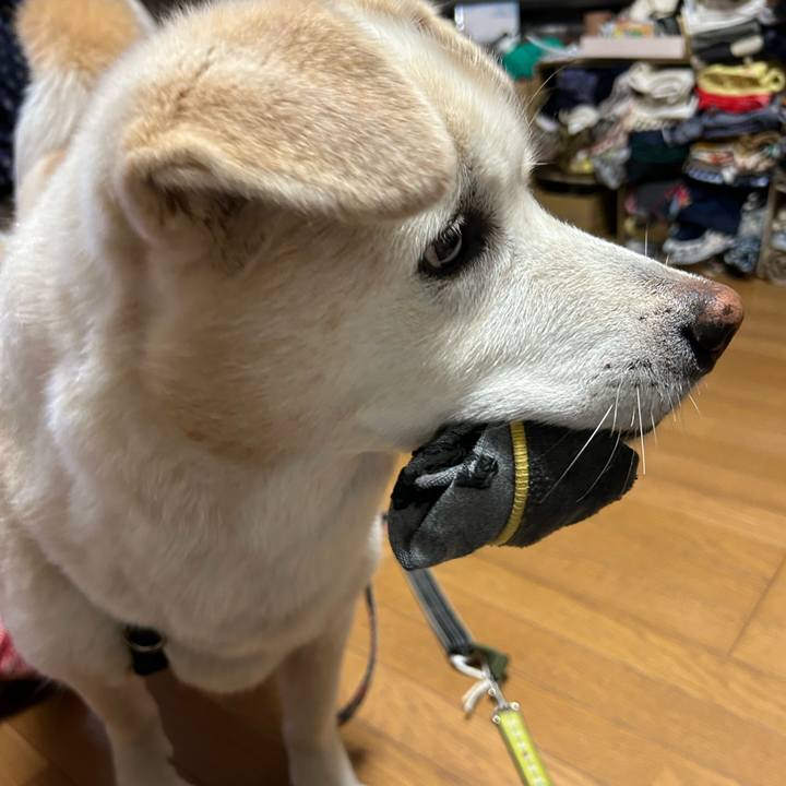 7b1d19a6 92ec 4217 9a28 cbced7f8770a 1721137191331