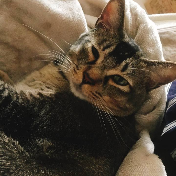 7b1d1a2d 5a90 4fc2 8100 f2288e3db38a 1554706891518