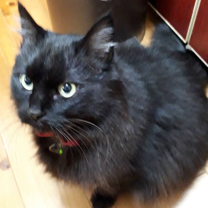 7b1d6d75 6a3e 4703 b225 707eafba51dc 1519036208556