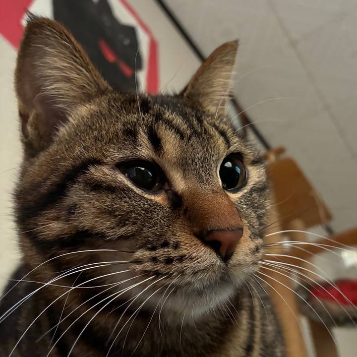 7b1d789f 2689 4393 9321 0ecffbdce825 1774385456972