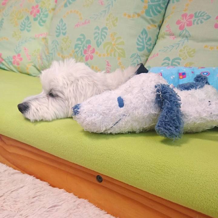 7b1d7cda d2f1 4e66 9d7d 29b8d81a8029 1513751261477