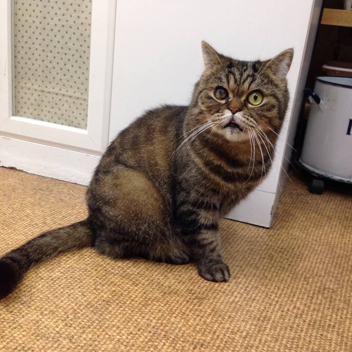 7b1d8a70 470a 47a9 8f9a ff3d3f1bb0d9 1512521330804