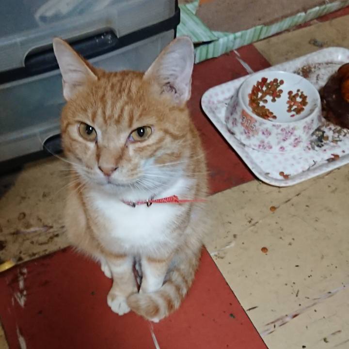 7b1d9482 bbfb 4977 b959 fa575de479d9 1569840658963