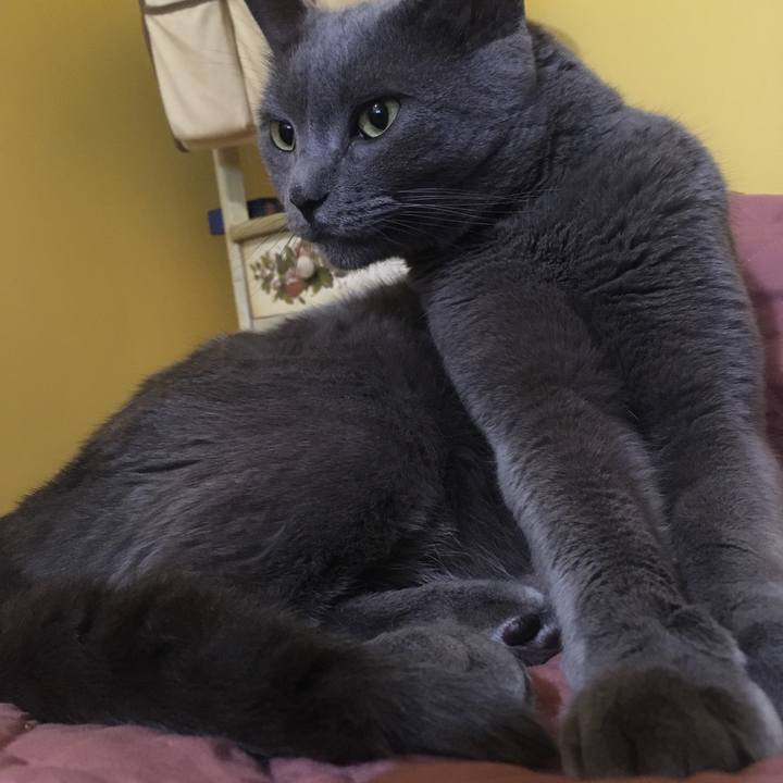 7b1d96fd 0ebc 4cec b11b 77ca43cdfd6d 1625615607297